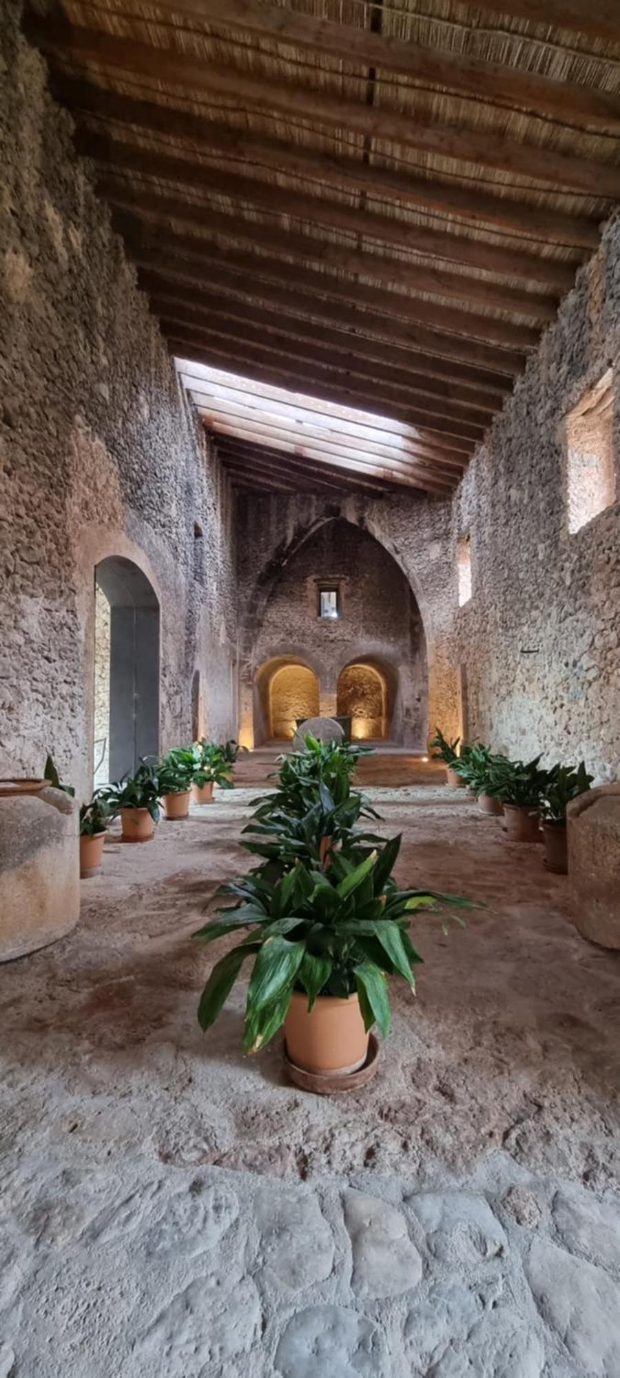 Finca Es Cabas Santa Maria del Cami  Exteriör bild