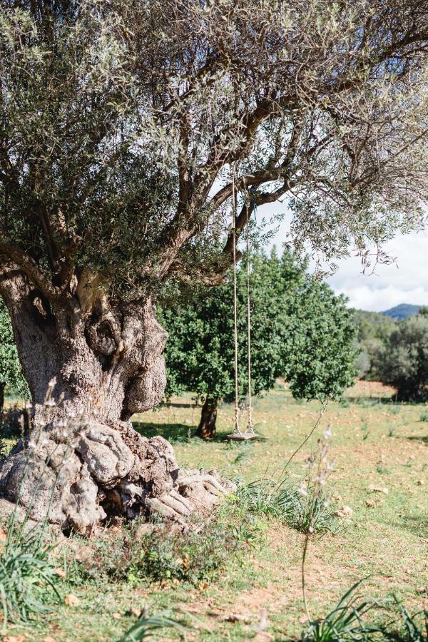 Finca Es Cabas Santa Maria del Cami  Exteriör bild