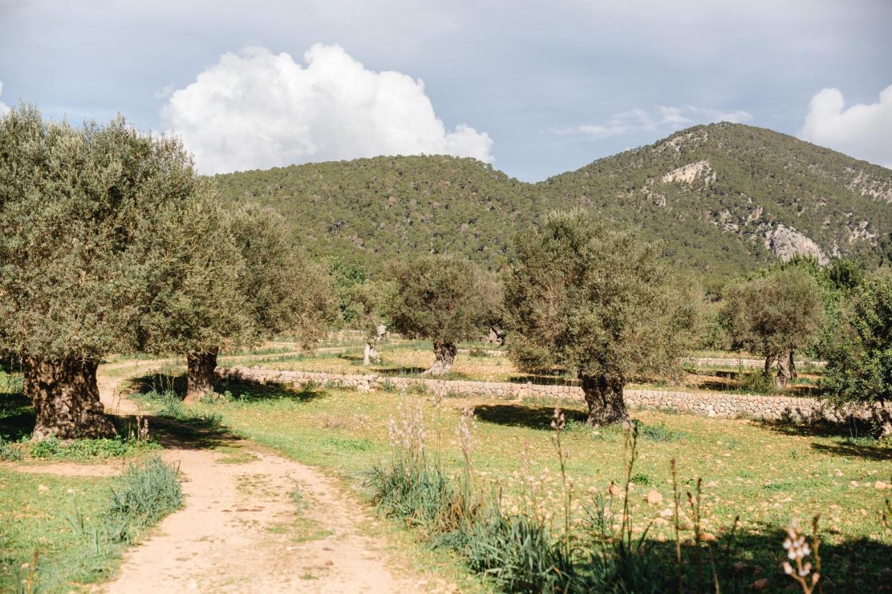 Finca Es Cabas Santa Maria del Cami  Exteriör bild